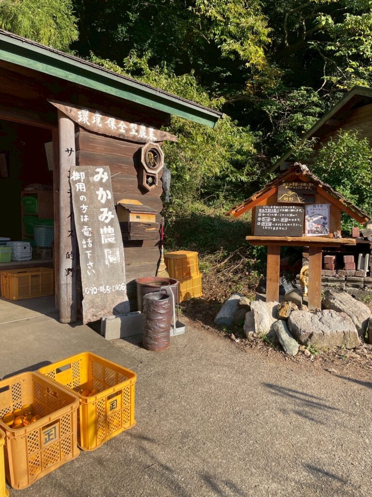 檜の香りがする木の写真 泉穴師神社】 樹齢600年の御神木・鎮守の森のクスノキから作られた